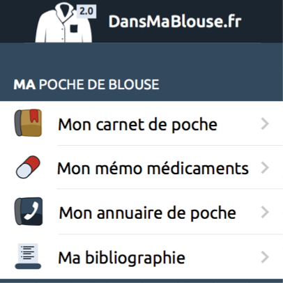 DansMaBlouse